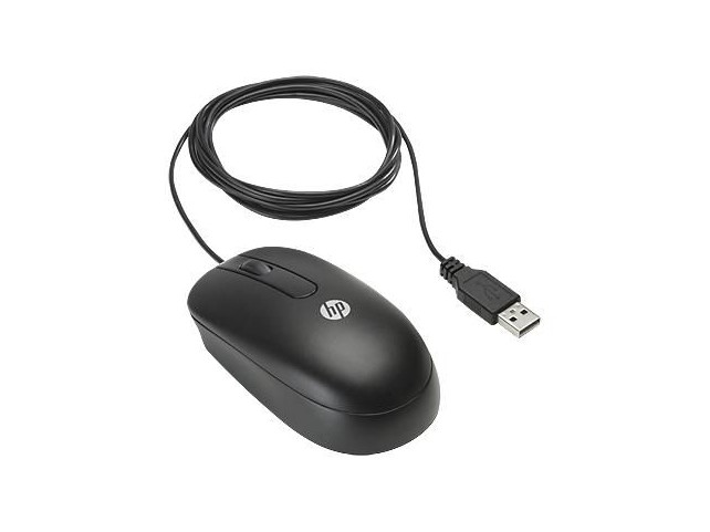 Hewlett Packard Enterprise USB Optical Scroll Mouse  , Ambidextrous, Optical, USB