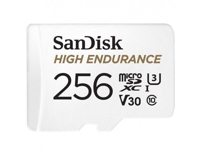 Sandisk 256 GB MicroSDXC UHS-I Class  10