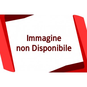 Display LED 10,1" (1024x600) WSVGA SLIM (BRACKET LATERALI) 40 Pin DX (LUCIDO)